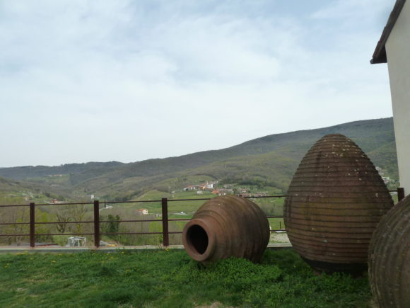 Weingut-Gravner-Amphore-Slowenien