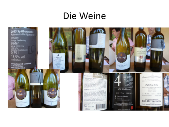 Weinreise-Bodensee-2015_07-2