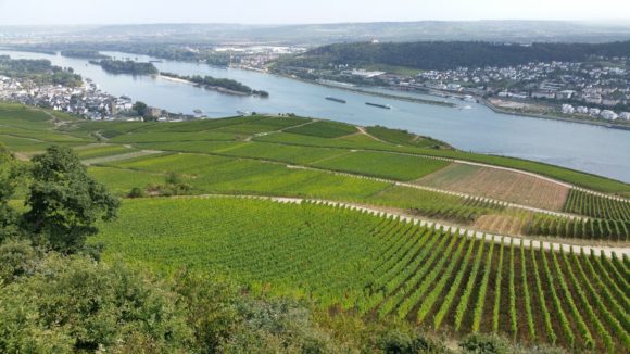 Blick in den Rheinau vom Niederwalddenkmal