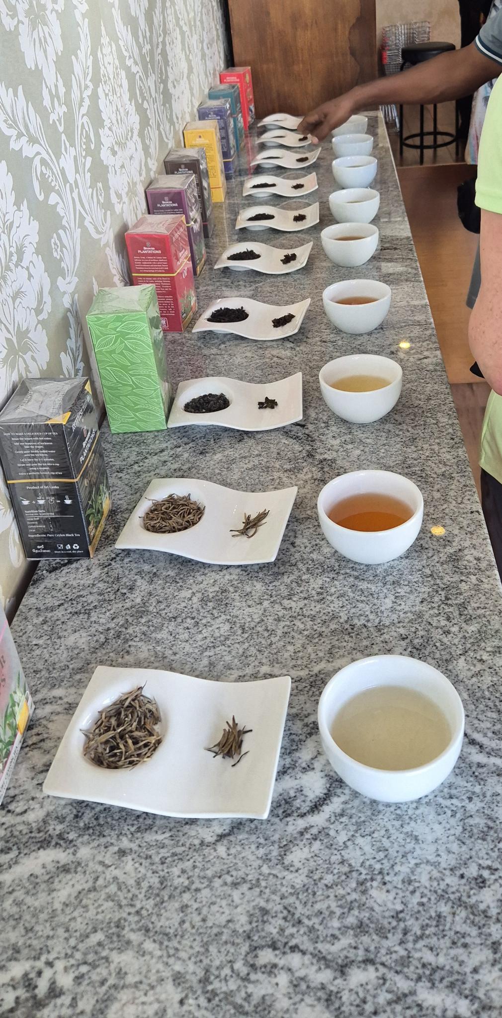 Verkostungsaufbau mit verschiedenen Rothschild Teesorten