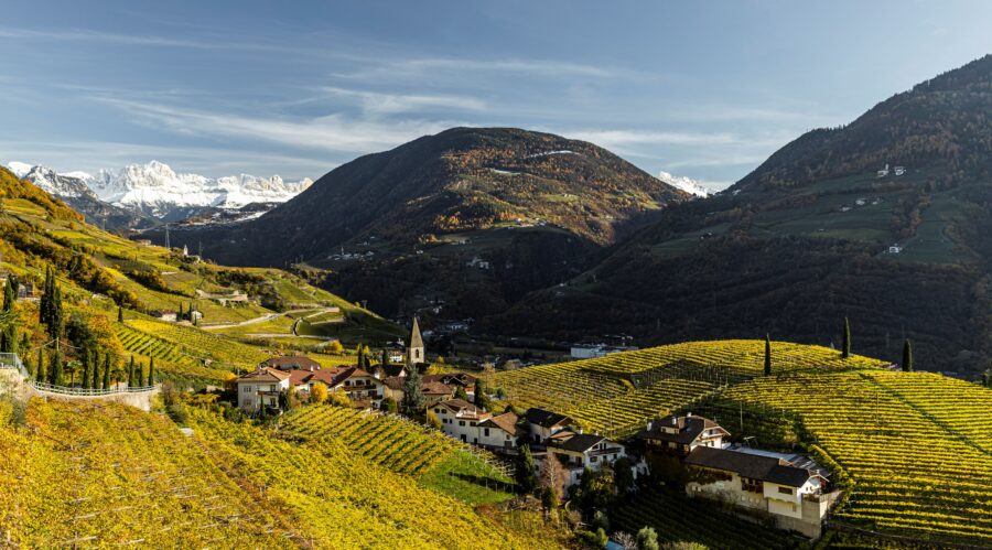 Panoramablick auf Südtiroler Weinberge mit schneebedeckten Bergen im Hintergrund
