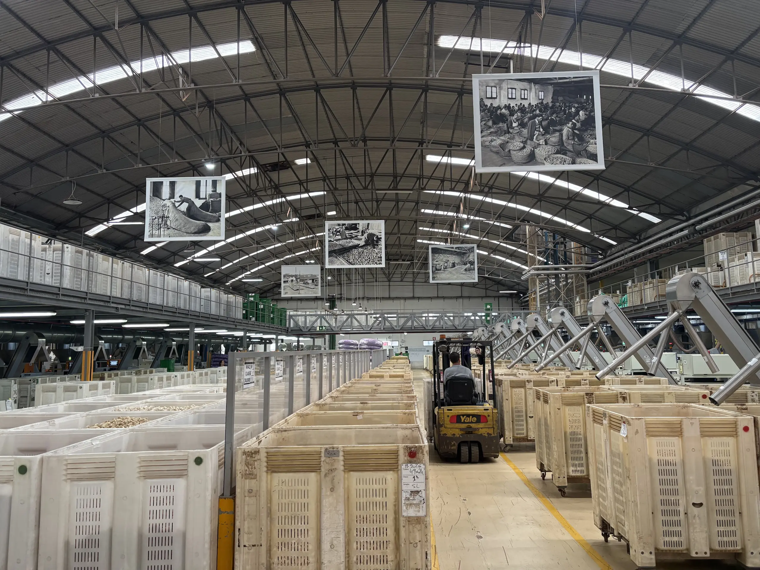 Große Produktionshalle bei Amorim in Santa Maria de Lamas