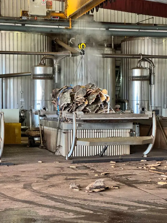 Industrielle Dämpfanlage hebt Korkplatten zur thermischen Behandlung