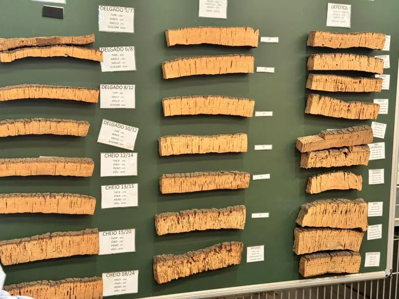 Schautafel mit nach Qualität und Stärke sortierten Korkrindenquerschnitten
