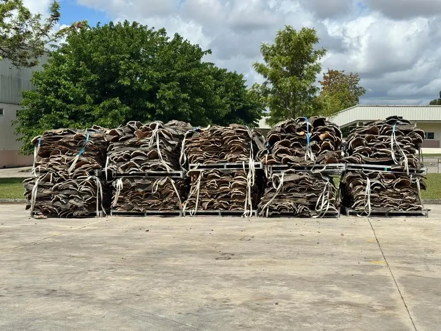 Gebündelte Korkrinden bei der sechsmonatigen Freiluftlagerung ohne Bodenkontakt