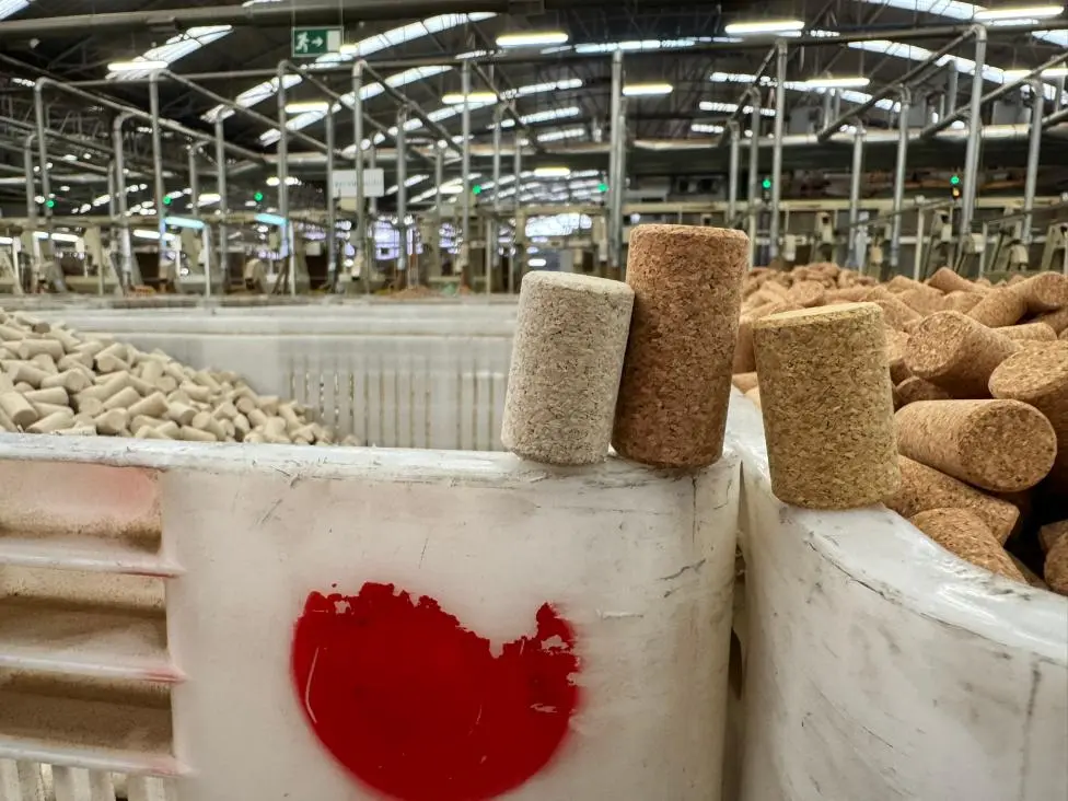 Fertige Presskorken aus verklebtem und verpresstem Korkgranulat in der Fabrik