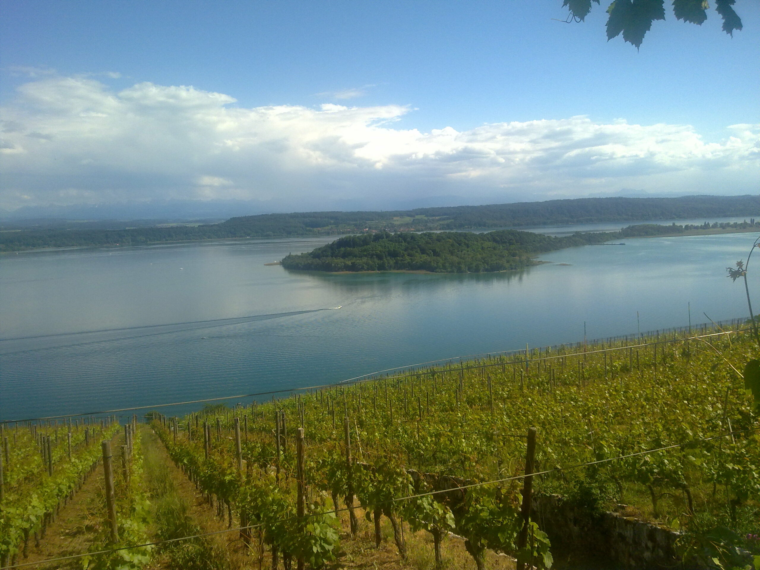 Aussicht vom Weingut Sabine Steiner über Bielersee und St. Petersinsel