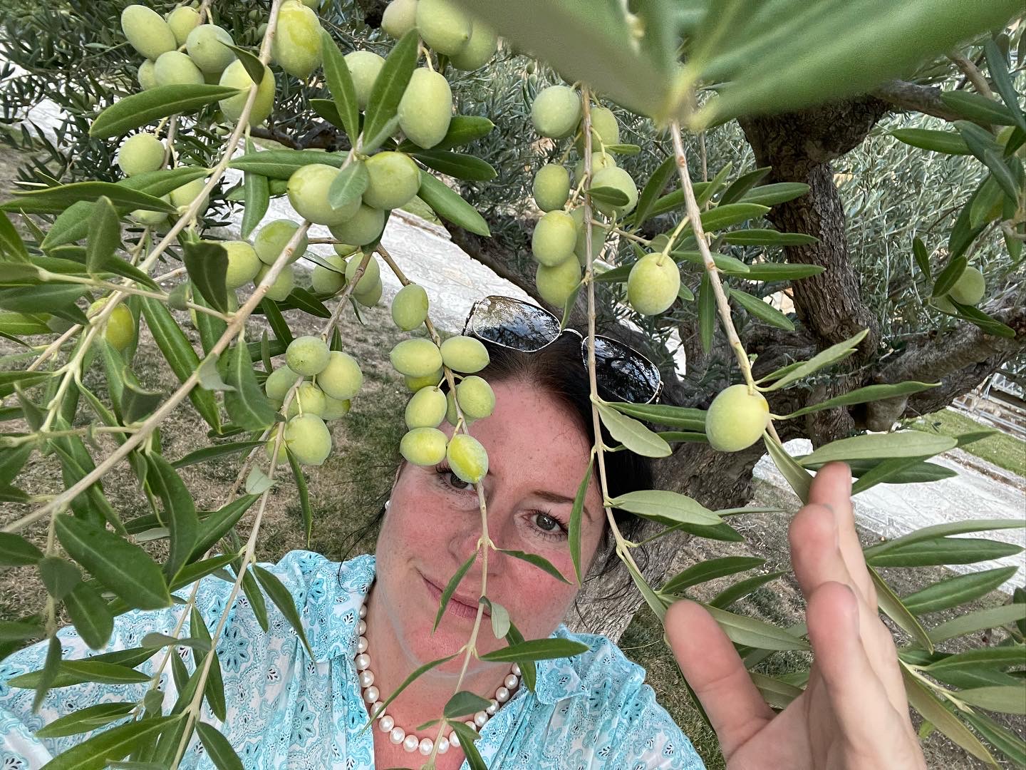 Diana Rohrbach im Olivenbaum