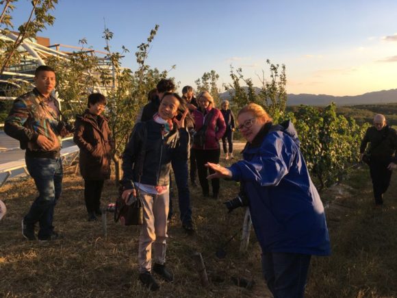 Mit Gloria im Weinberg bei Pula Valley