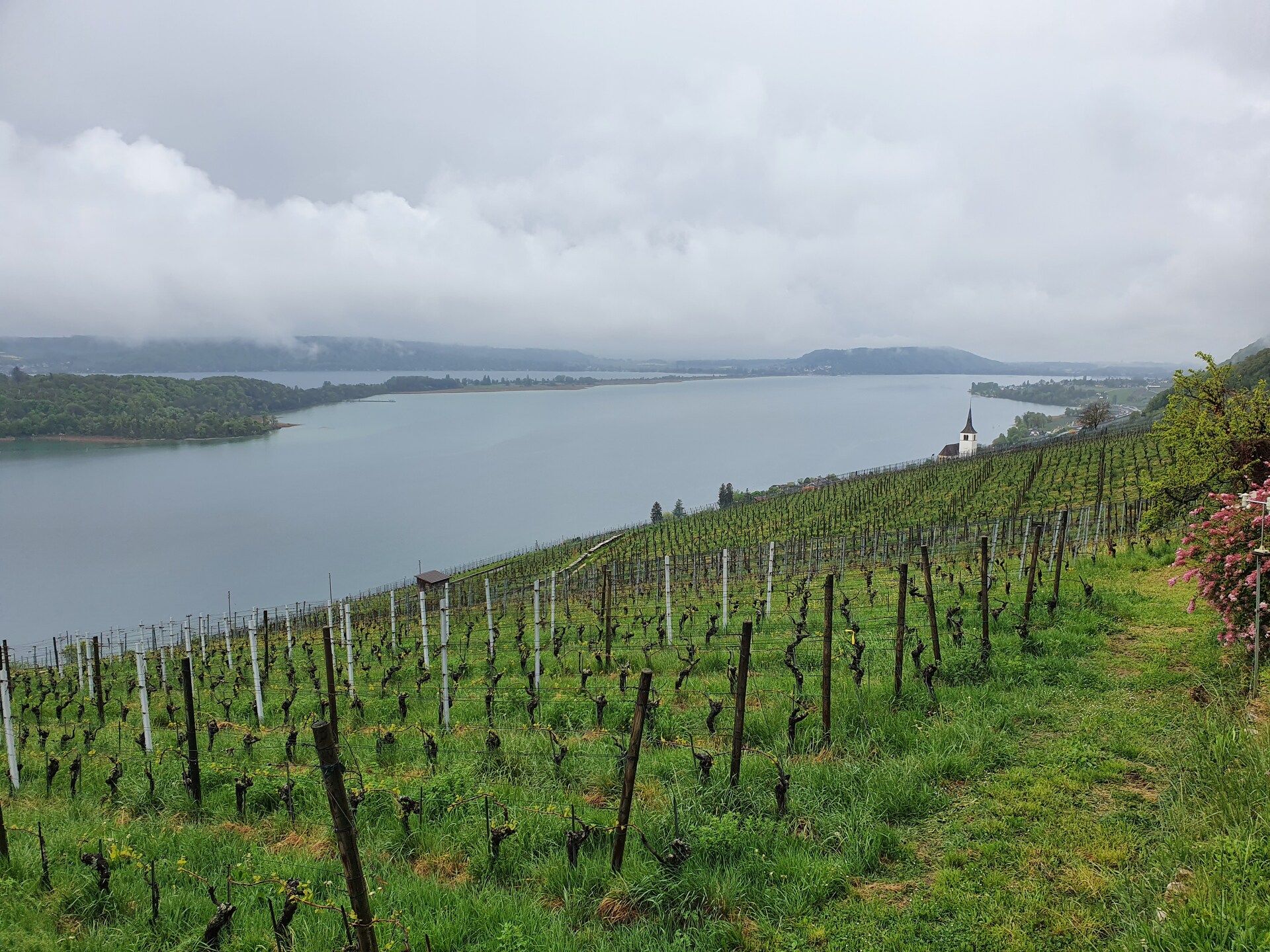 FuW-Weinreise 2022 Schweiz Tag 1 Foto 06 Blick aus dem Verkostungsraum