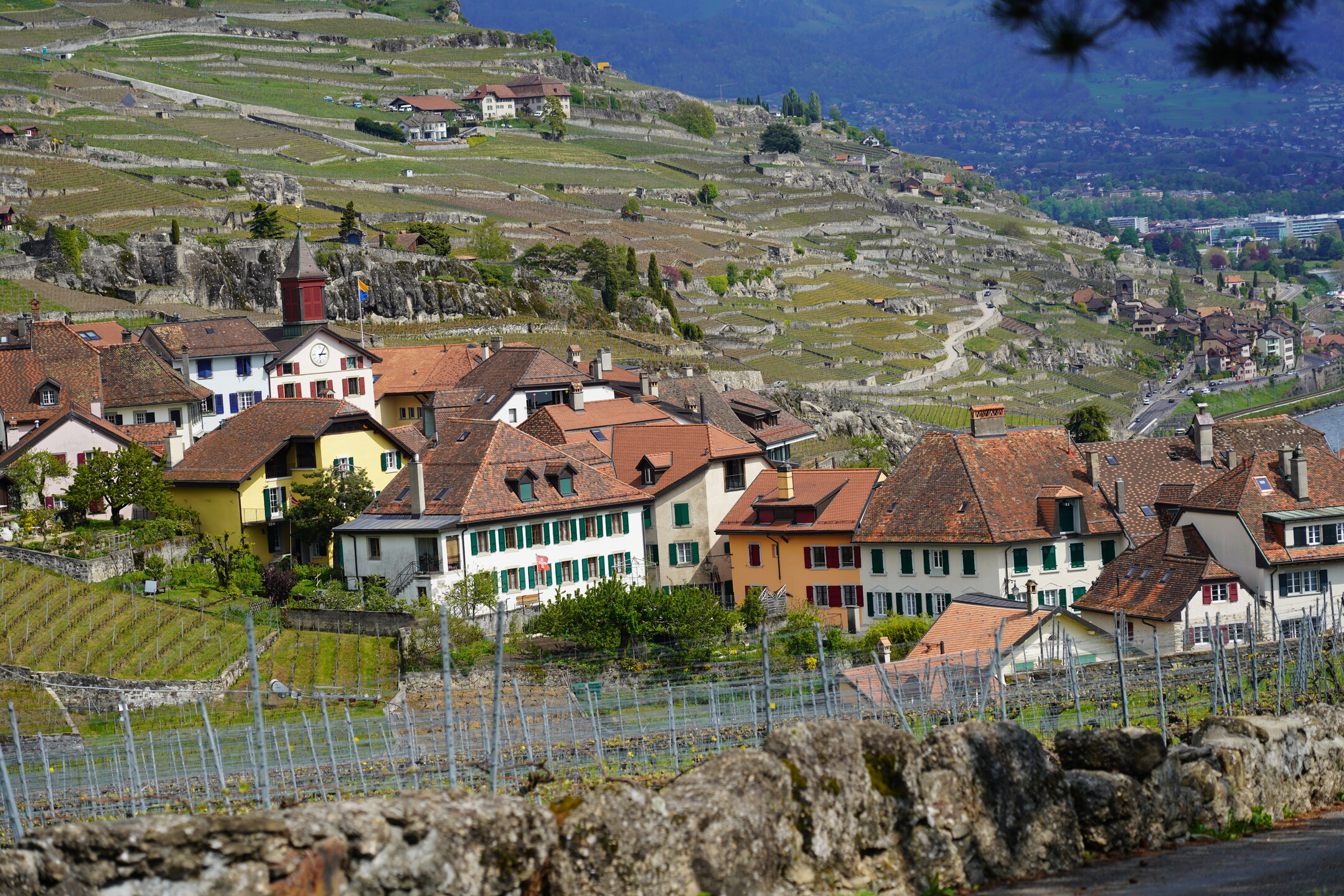 FuW-Weinreise 2022 Schweiz Tag 1 Foto 10 Dézaley am Genfer See