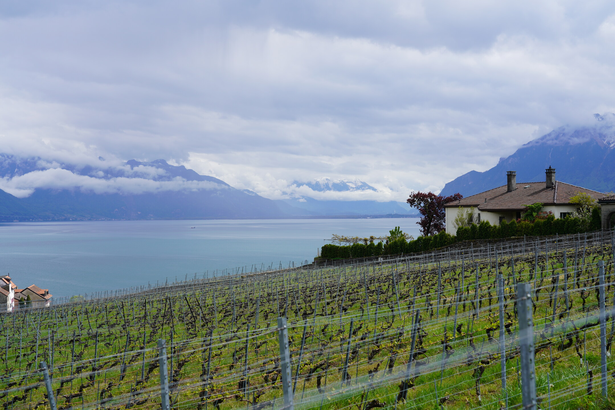 FuW-Weinreise 2022 Schweiz Tag 1 Foto 12 Genfer See