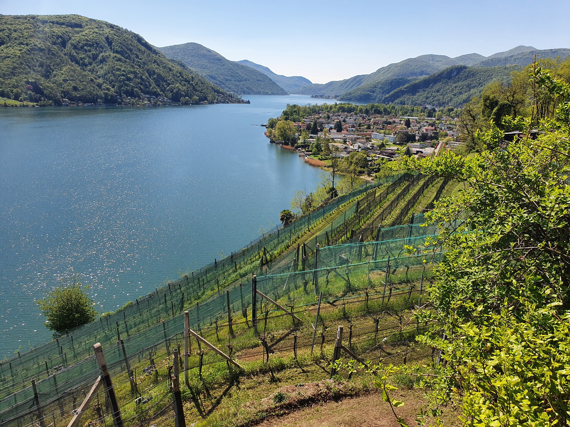 FuW-Weinreise 2022 Schweiz Tag 3 Foto Nr. 5 Blick auf Magliaso