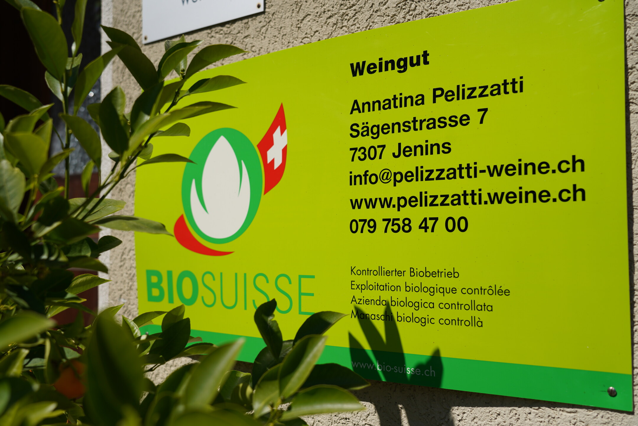 Reisebericht Tag 4 der FuW Wein-Fachstudienreise in die Schweiz 2022 Nr. 12 Weingut Pelizzatti