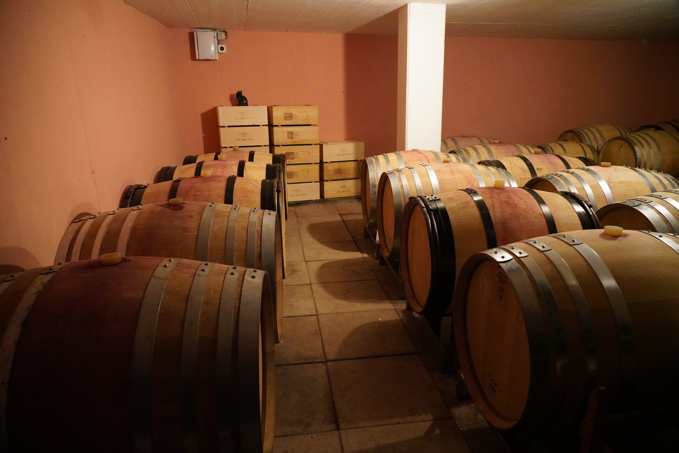Reisebericht Tag 4 der FuW Wein-Fachstudienreise in die Schweiz 2022 Nr. 17 Fasskeller von Pelizzatti