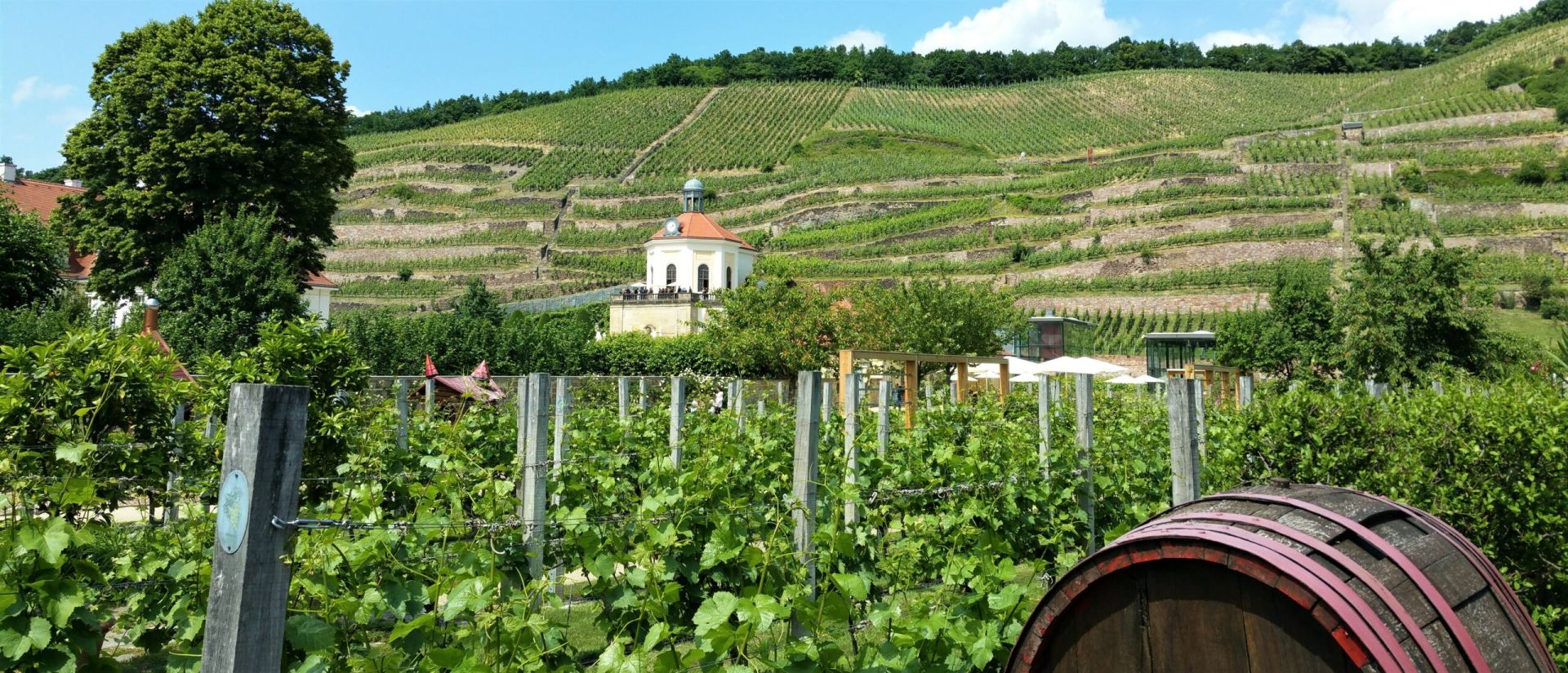 FuW Weinstudienreise in die Schweiz